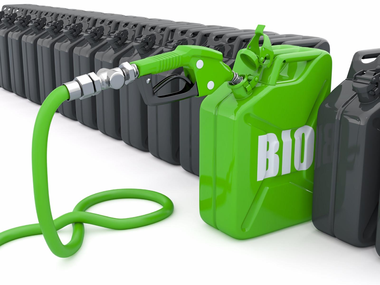 Высвобождение скрытой энергии: рынок биотоплива будет закреплен на законодательном уровне